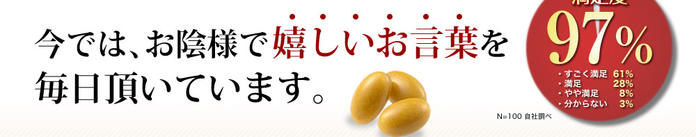 今では、お陰様で嬉しいお言葉を毎日頂いています。満足度97% N=100 自社調べ