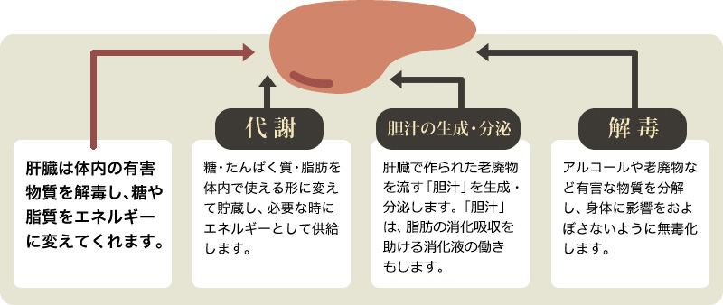 図解