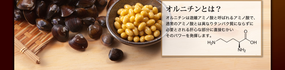 オルニチンとは？