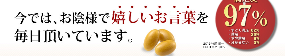 今では、お陰様で嬉しいお言葉を毎日頂いています。満足度97% N=100 2018年6月モニター調べ